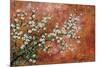 Wild Plum Blossoms-Zachary Alexander-Mounted Art Print