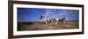Wild Ponies Nm USA-null-Framed Photographic Print