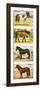 Wild Ponies of Great Britian-null-Framed Premium Giclee Print