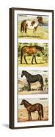 Wild Ponies of Great Britian-null-Framed Premium Giclee Print