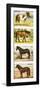 Wild Ponies of Great Britian-null-Framed Premium Giclee Print