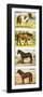 Wild Ponies of Great Britian-null-Framed Giclee Print