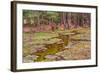 Wild Pony on Edge of Forest and Flooded Swamp Land in Winter-Veneratio-Framed Photographic Print