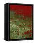 Wild Poppies, Anatolia, Turkey Minor, Eurasia-Woolfitt Adam-Framed Stretched Canvas