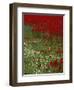 Wild Poppies, Anatolia, Turkey Minor, Eurasia-Woolfitt Adam-Framed Photographic Print