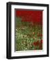 Wild Poppies, Anatolia, Turkey Minor, Eurasia-Woolfitt Adam-Framed Photographic Print