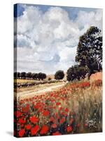 Wild Poppies, Hertfordshire, 2010-Cruz Jurado Traverso-Stretched Canvas