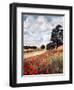 Wild Poppies, Hertfordshire, 2010-Cruz Jurado Traverso-Framed Giclee Print