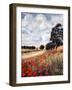 Wild Poppies, Hertfordshire, 2010-Cruz Jurado Traverso-Framed Giclee Print