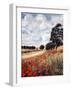 Wild Poppies, Hertfordshire, 2010-Cruz Jurado Traverso-Framed Giclee Print