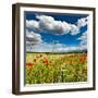 Wild Poppies (Papaver Rhoeas) and Wild Grasses in Front of Sierra Nevada Mountains, Spain-Giles Bracher-Framed Premium Photographic Print