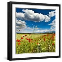 Wild Poppies (Papaver Rhoeas) and Wild Grasses in Front of Sierra Nevada Mountains, Spain-Giles Bracher-Framed Premium Photographic Print