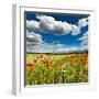 Wild Poppies (Papaver Rhoeas) and Wild Grasses in Front of Sierra Nevada Mountains, Spain-Giles Bracher-Framed Photographic Print