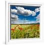 Wild Poppies (Papaver Rhoeas) and Wild Grasses in Front of Sierra Nevada Mountains, Spain-Giles Bracher-Framed Photographic Print