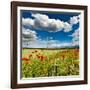 Wild Poppies (Papaver Rhoeas) and Wild Grasses in Front of Sierra Nevada Mountains, Spain-Giles Bracher-Framed Photographic Print