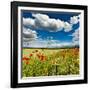 Wild Poppies (Papaver Rhoeas) and Wild Grasses in Front of Sierra Nevada Mountains, Spain-Giles Bracher-Framed Photographic Print