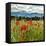 Wild Poppies (Papaver Rhoeas) and Wild Grasses with Sierra Nevada Mountains, Andalucia, Spain-Giles Bracher-Framed Stretched Canvas