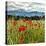 Wild Poppies (Papaver Rhoeas) and Wild Grasses with Sierra Nevada Mountains, Andalucia, Spain-Giles Bracher-Stretched Canvas