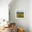 Wild Poppies (Papaver Rhoeas) and Wild Grasses with Sierra Nevada Mountains, Andalucia, Spain-Giles Bracher-Framed Photographic Print displayed on a wall