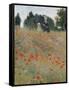 Wild Poppies-Claude Monet-Framed Stretched Canvas