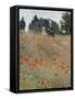 Wild Poppies-Claude Monet-Framed Stretched Canvas