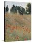 Wild Poppies-Claude Monet-Stretched Canvas