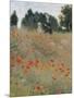 Wild Poppies-Claude Monet-Mounted Art Print