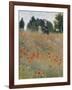 Wild Poppies-Claude Monet-Framed Art Print