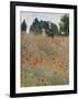 Wild Poppies-Claude Monet-Framed Art Print