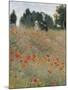 Wild Poppies-Claude Monet-Mounted Art Print