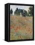 Wild Poppies-Claude Monet-Framed Stretched Canvas