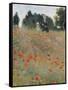 Wild Poppies-Claude Monet-Framed Stretched Canvas