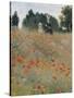 Wild Poppies-Claude Monet-Stretched Canvas