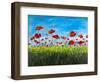 Wild Poppies-Julie DeRice-Framed Art Print