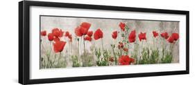 Wild Poppy Panorama-Pete Kelly-Framed Giclee Print