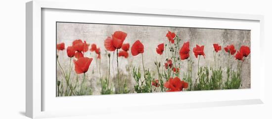 Wild Poppy Panorama-Pete Kelly-Framed Giclee Print