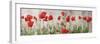 Wild Poppy Panorama-Pete Kelly-Framed Giclee Print