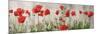 Wild Poppy Panorama-Pete Kelly-Mounted Giclee Print