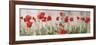 Wild Poppy Panorama-Pete Kelly-Framed Giclee Print