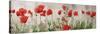 Wild Poppy Panorama-Pete Kelly-Stretched Canvas