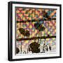 Wild Poppy Silhouette-Ruth Palmer-Framed Art Print