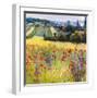 Wild Poppy View-Malva-Framed Giclee Print