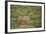 Wild Puma in Chile-Joe McDonald-Framed Photographic Print