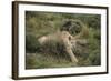 Wild Puma in Chile-Joe McDonald-Framed Photographic Print