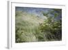 Wild Puma in Chile-Joe McDonald-Framed Photographic Print