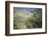 Wild Puma in Chile-Joe McDonald-Framed Photographic Print