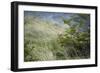 Wild Puma in Chile-Joe McDonald-Framed Photographic Print