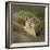 Wild Puma in Chile-Joe McDonald-Framed Photographic Print