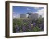 Wild Purple Lupins Surrounding the Pearl (Perlan) Oskjulid Dome, Reykjavik, Iceland, Polar Regions-Neale Clarke-Framed Photographic Print