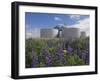 Wild Purple Lupins Surrounding the Pearl (Perlan) Oskjulid Dome, Reykjavik, Iceland, Polar Regions-Neale Clarke-Framed Photographic Print